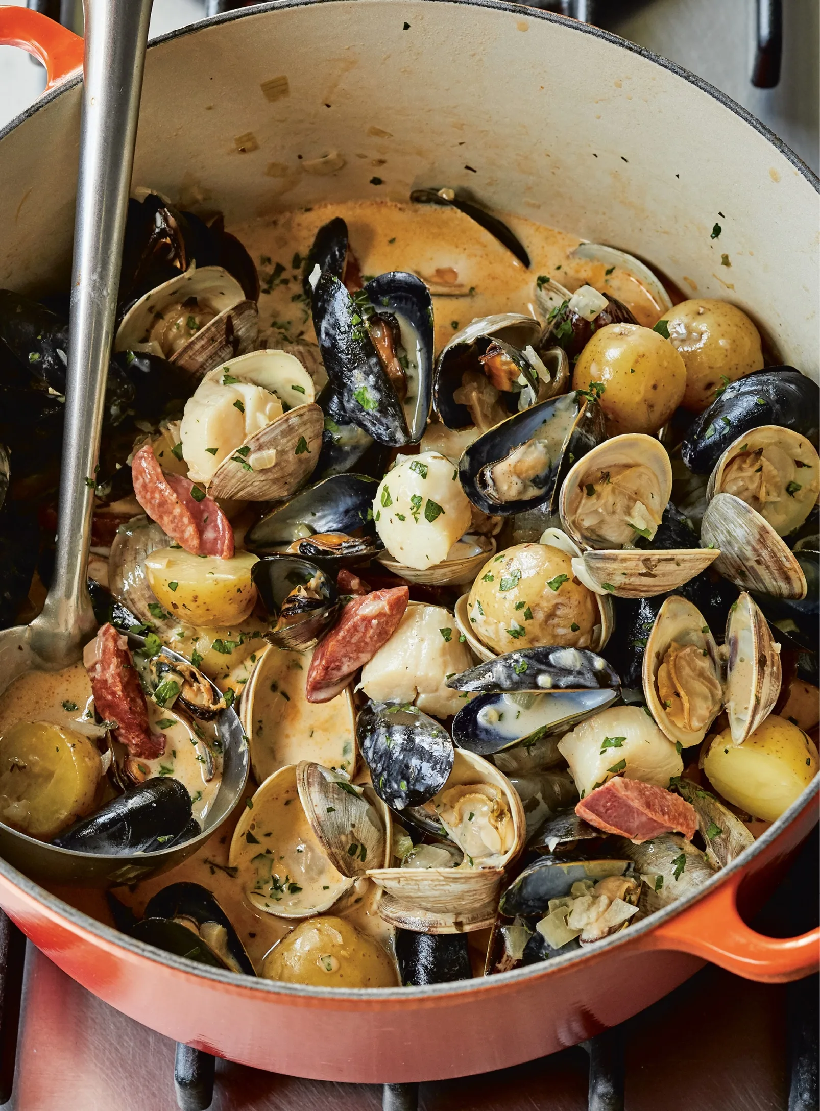 Ina Garten Shellfish & Chorizo Stew