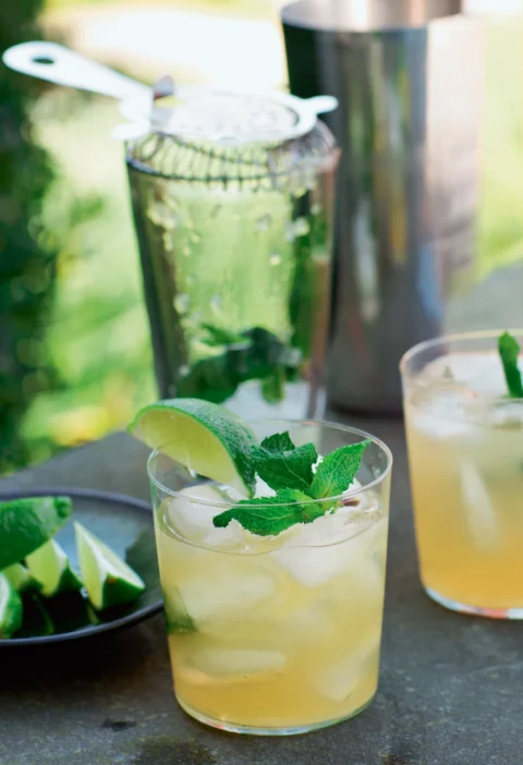 Ina Garten dark rum southsides served over ice in low glasses with fresh mint sprigs and lime wedges beside a cocktail shaker