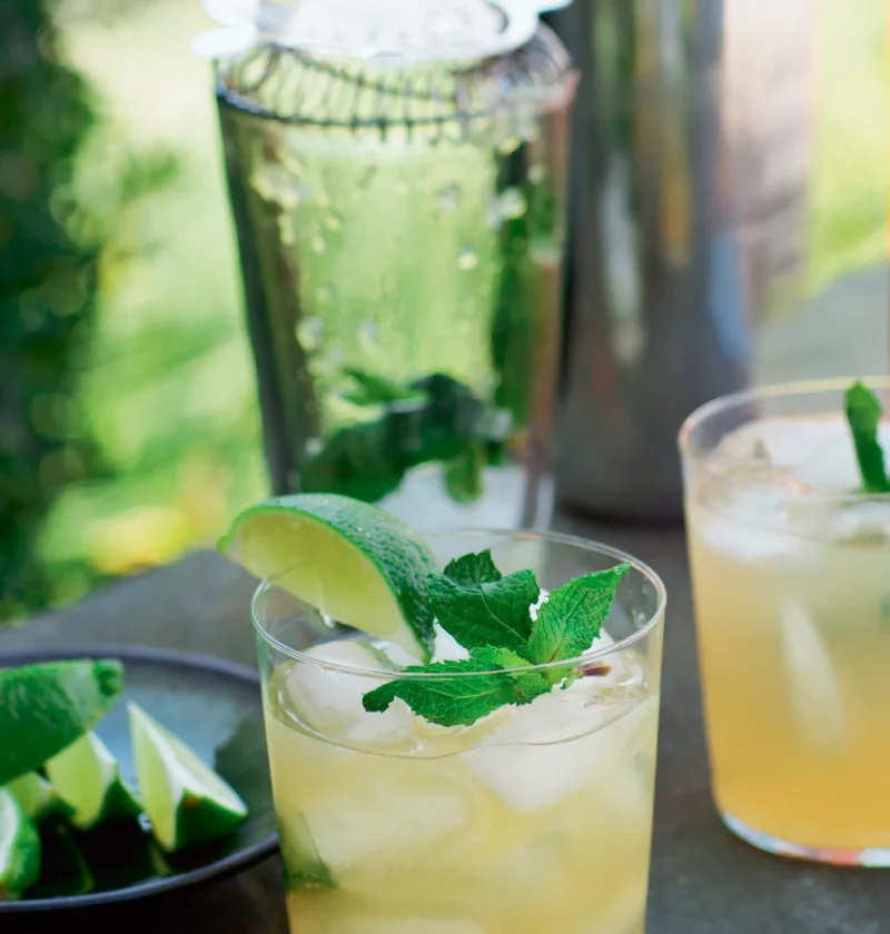 Ina Garten dark rum southsides served over ice in low glasses with fresh mint sprigs and lime wedges beside a cocktail shaker