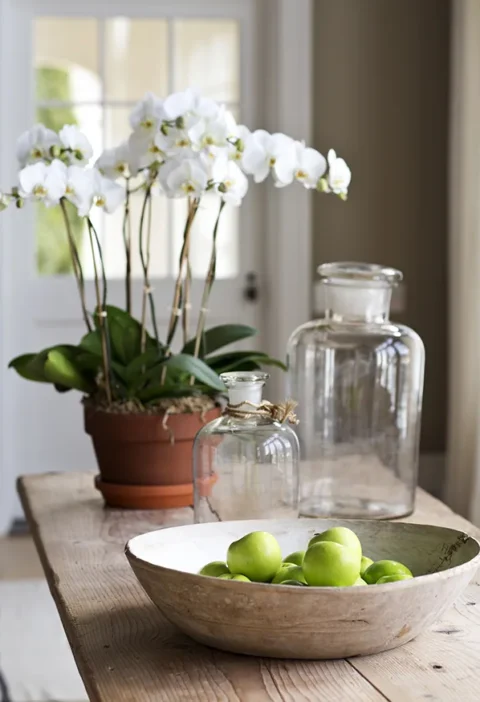 Orchid in a terracotta pot beside glass jars and a wooden bowl of green apples on a farmhouse table